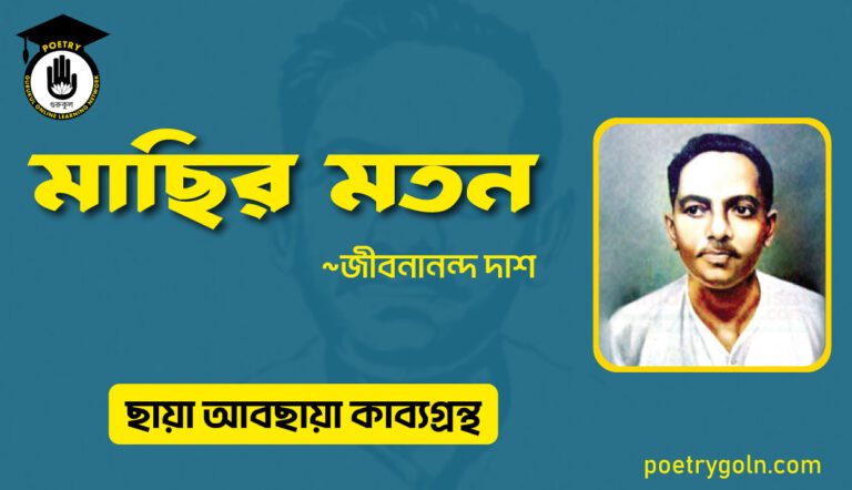 মাছির মতন । জীবনানন্দ দাশ । ছায়া আবছায়া কাব্যগ্রন্থ,২০০৪